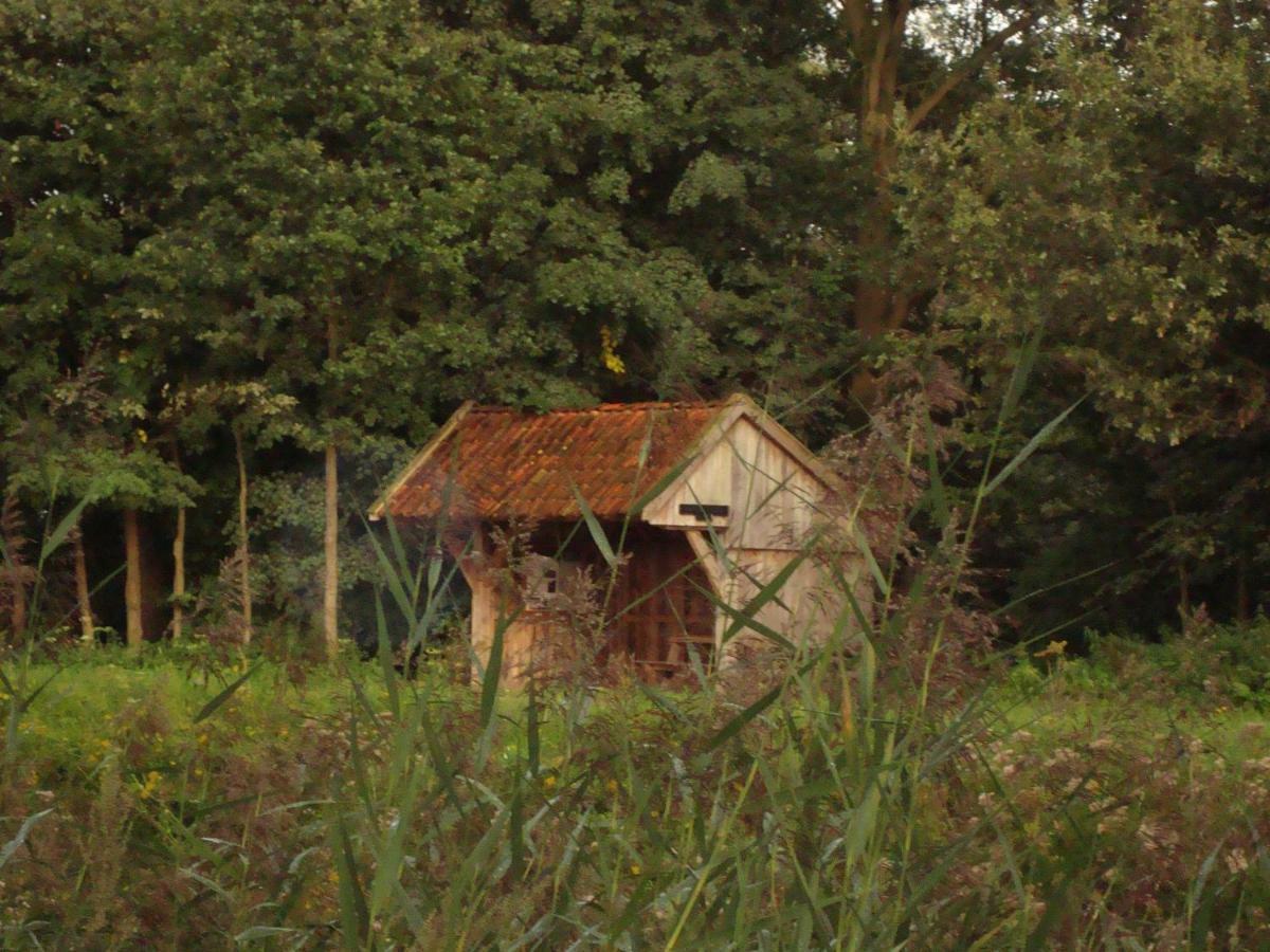 Bed And Breakfast De Boerderij Albergen ภายนอก รูปภาพ